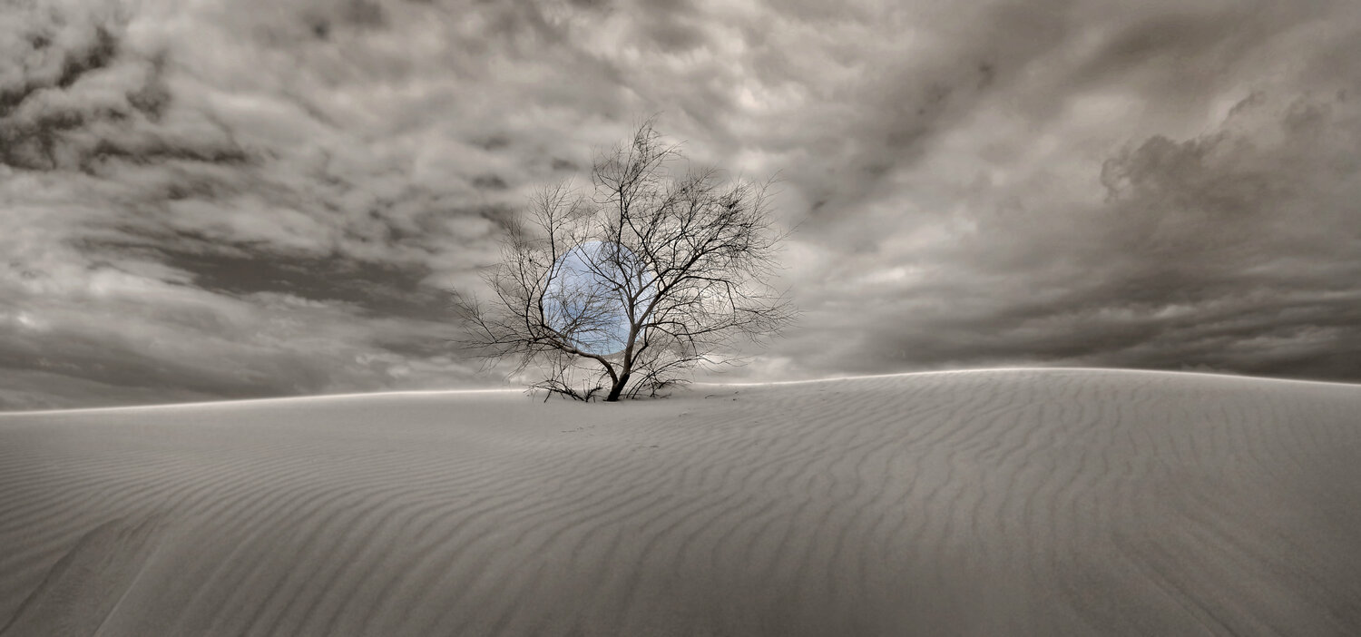 before the cold 03 Yigal Pardo