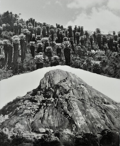 Selva y Paramo von María Gutiérrez, Fotografie kaufen auf Singulart