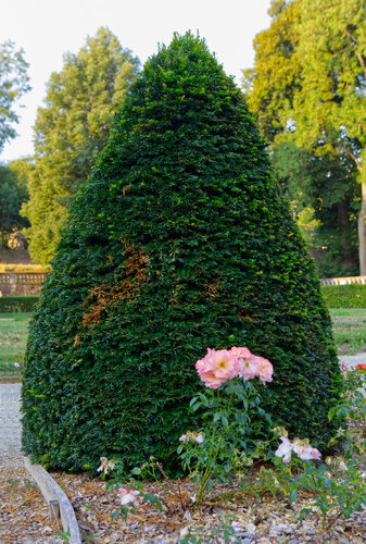 Insel der Lust und Sehnsucht von María Gutiérrez, Fotografie kaufen auf Singulart
