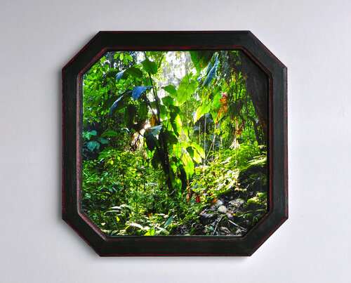 La selva I von María Gutiérrez, Fotografie kaufen auf Singulart