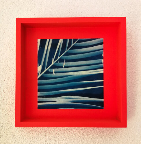 Palme N°1 par María Gutiérrez, Photographie en vente sur Singulart
