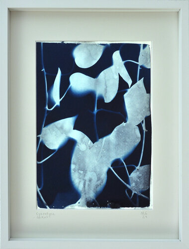 Hiedra N°1 von María Gutiérrez, Fotografie kaufen auf Singulart