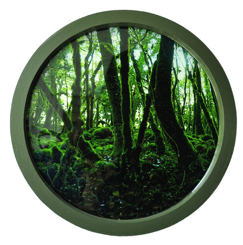 Wald II von María Gutiérrez, Fotografie kaufen auf Singulart