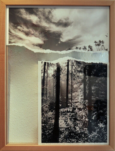 Aus der Serie: Der Raum zwischen zwei Landschaften. par María Gutiérrez, Photographie en vente sur Singulart