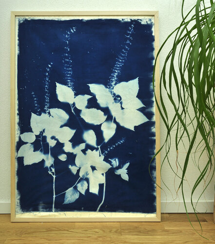 Buntnessel I by María Gutiérrez, 사진 for Sale on Singulart