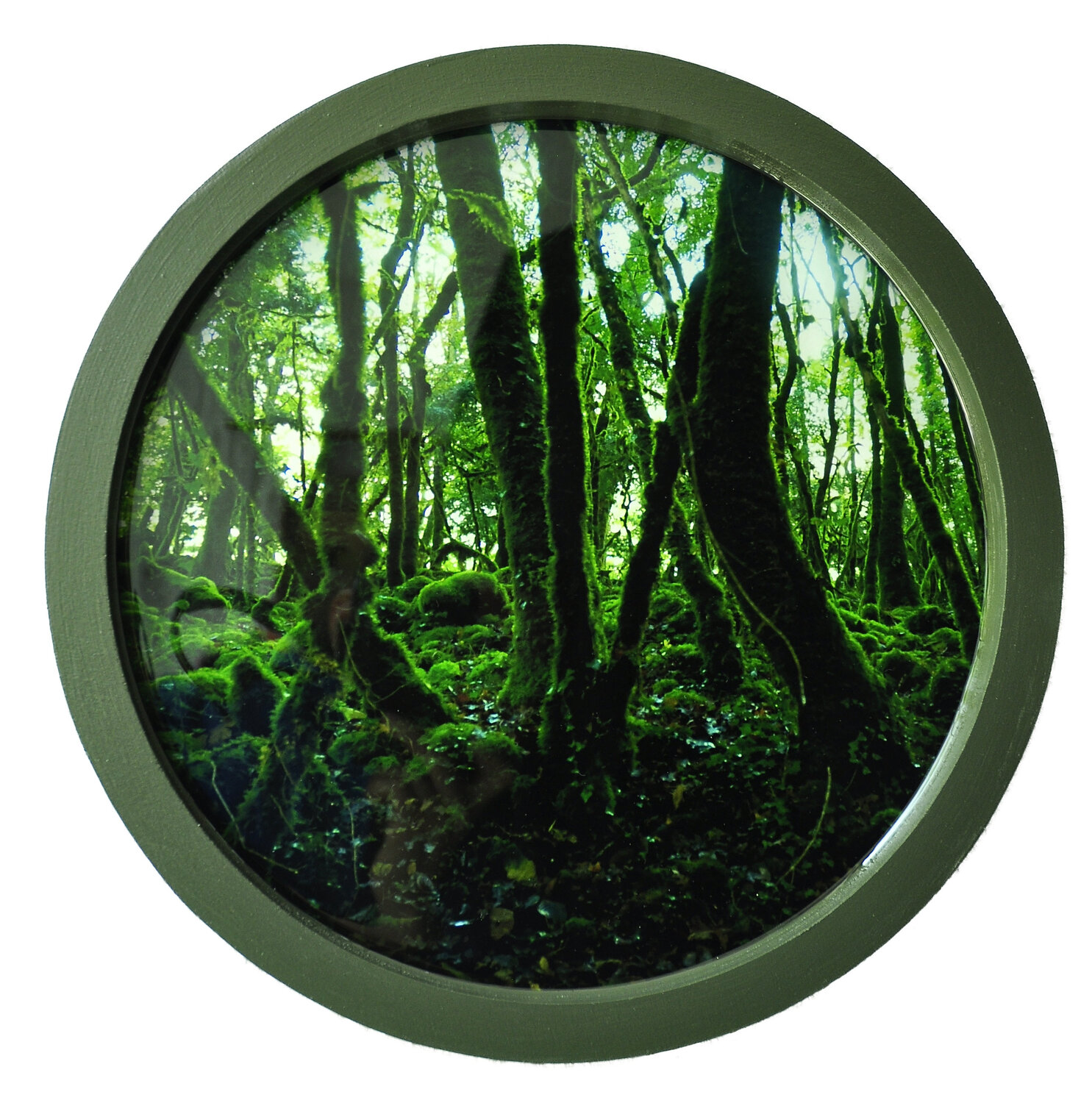 Wald II María Gutiérrez
