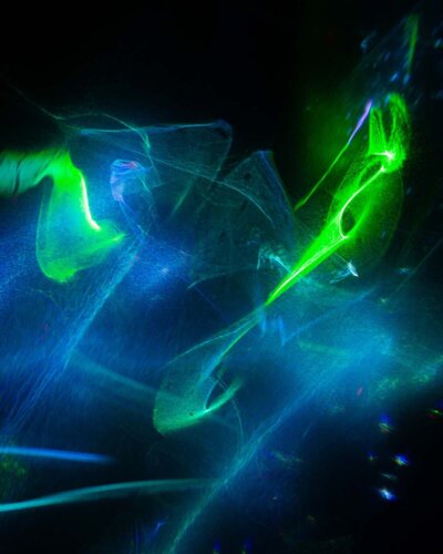 3C 405 van G23LAB, Fotografie te koop op Singulart