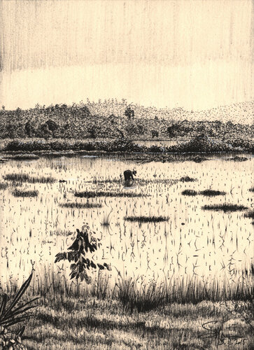 Joli Petit Dessin n°12 van Sylvain Baudouin, Werk op papier te koop op Singulart