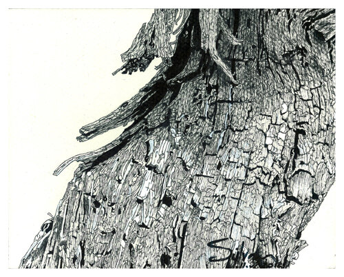 Tormentas n°5 van Sylvain Baudouin, Werk op papier te koop op Singulart