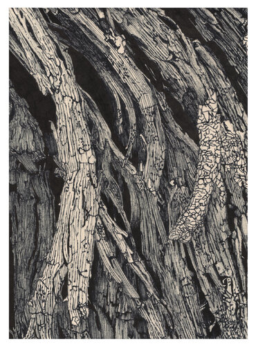 Tormentas n°2 di Sylvain Baudouin, Opera su carta in vendita su Singulart