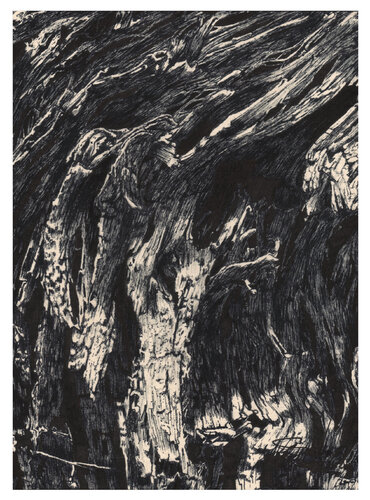 Tormentas n°3 van Sylvain Baudouin, Werk op papier te koop op Singulart