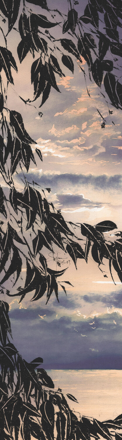 Nébuleuse Sylvain Baudouin