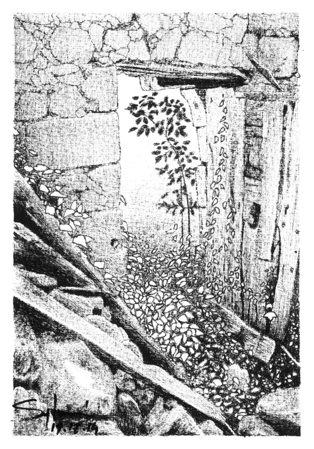 Joli Petit Dessin n°3 Sylvain Baudouin