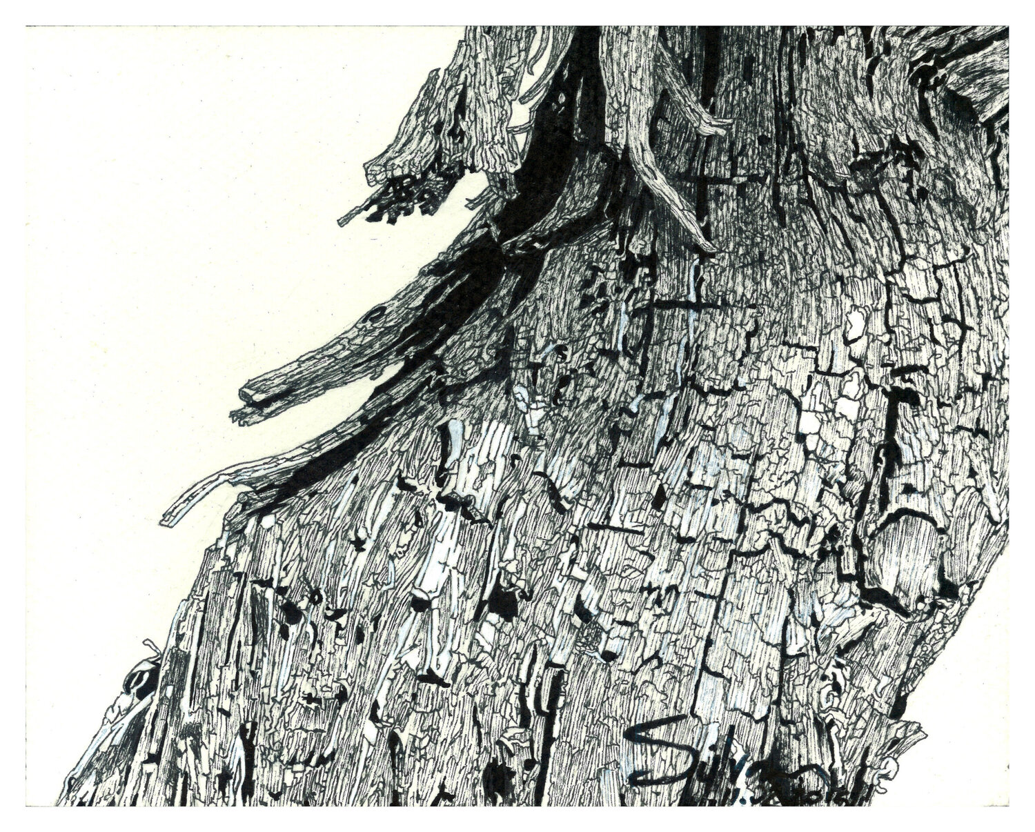 Tormentas n°5 Sylvain Baudouin