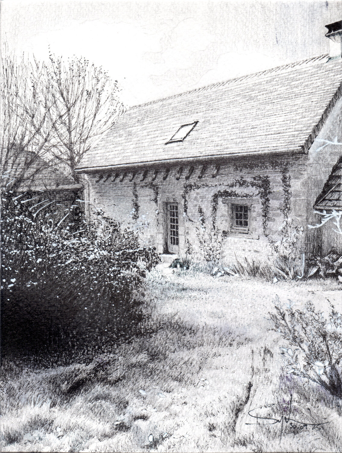Joli Petit Dessin n°16 Sylvain Baudouin
