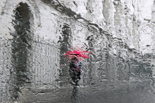 Le Parapluie fuchsia van Robert Bared, Fotografie te koop op Singulart