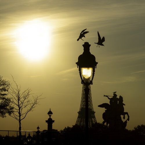 Le Réverbère Eiffel sous le feu du soleil di Robert Bared, Fotografia in vendita su Singulart