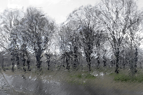 Chevelures di Robert Bared, Digitale in vendita su Singulart