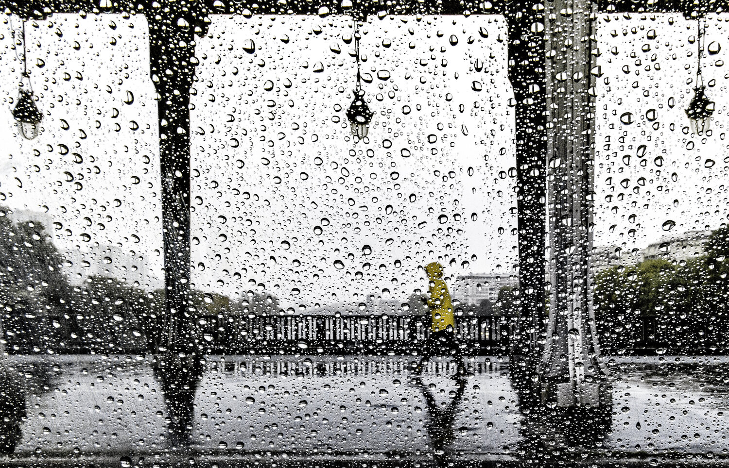 Walking in the Rain Robert Bared