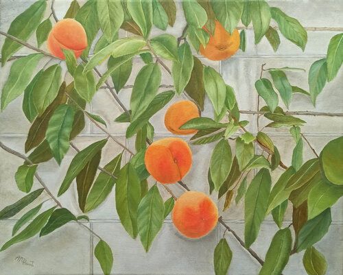 Peaches by Angeles M. Pomata, Painting for Sale on Singulart