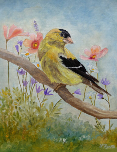 Early Spring American Goldfinch van Angeles M. Pomata, Schilderij te koop op Singulart