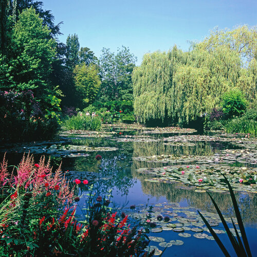 Summer Water Garden at Giverny Alex Cassels