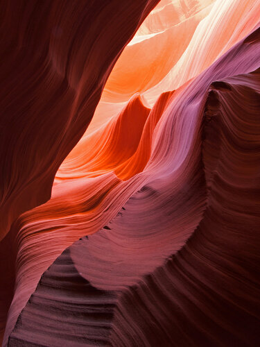 The Waves of Antelope Canyon van Alex Cassels, Fotografie te koop op Singulart