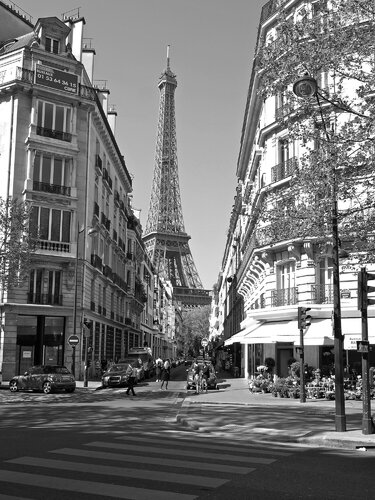 Avenue Rapp by Alex Cassels, 사진 for Sale on Singulart