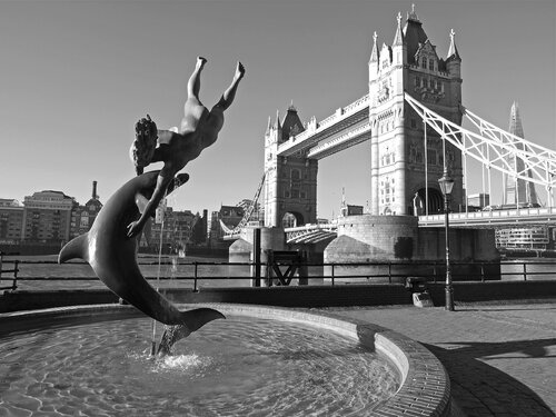 Girl With a Dolphin di Alex Cassels, Fotografia in vendita su Singulart