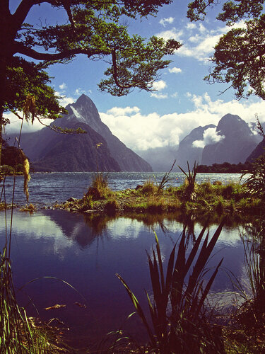 Milford Sound by Alex Cassels, 사진 for Sale on Singulart
