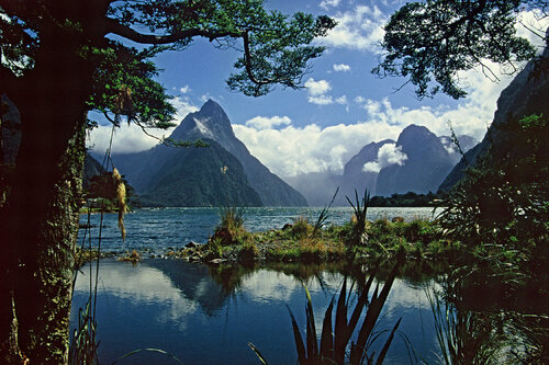 Fiordland van Alex Cassels, Fotografie te koop op Singulart
