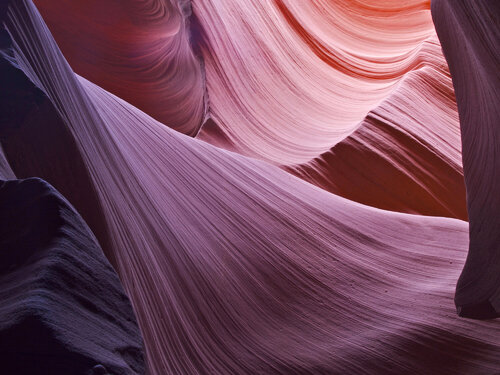 The Veil - A3 by Alex Cassels, 사진 for Sale on Singulart