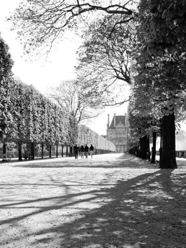 Jardins des Tuileries au printemps van Alex Cassels, Fotografie te koop op Singulart
