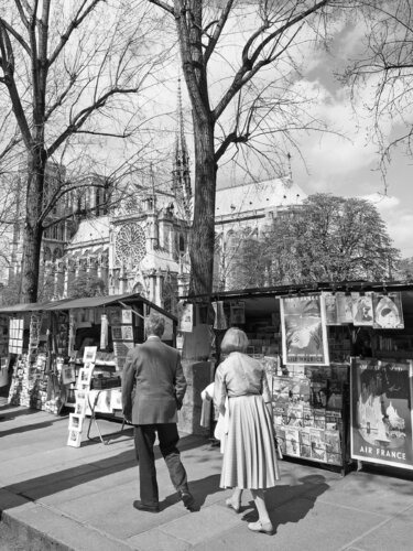 Bouquinistes de la Rive Gauche von Alex Cassels, Fotografie kaufen auf Singulart