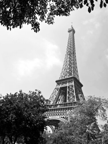 La Tour Eiffel di Alex Cassels, Fotografia in vendita su Singulart