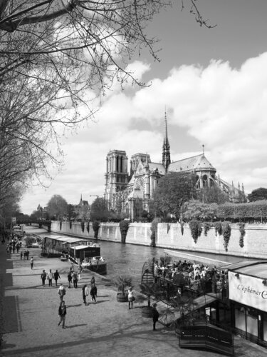 Quai de Montebello de la Tournelle di Alex Cassels, Fotografia in vendita su Singulart