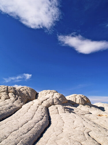 The Brain Rocks of White Pocket de Alex Cassels, Fotografía a la venta en Singulart
