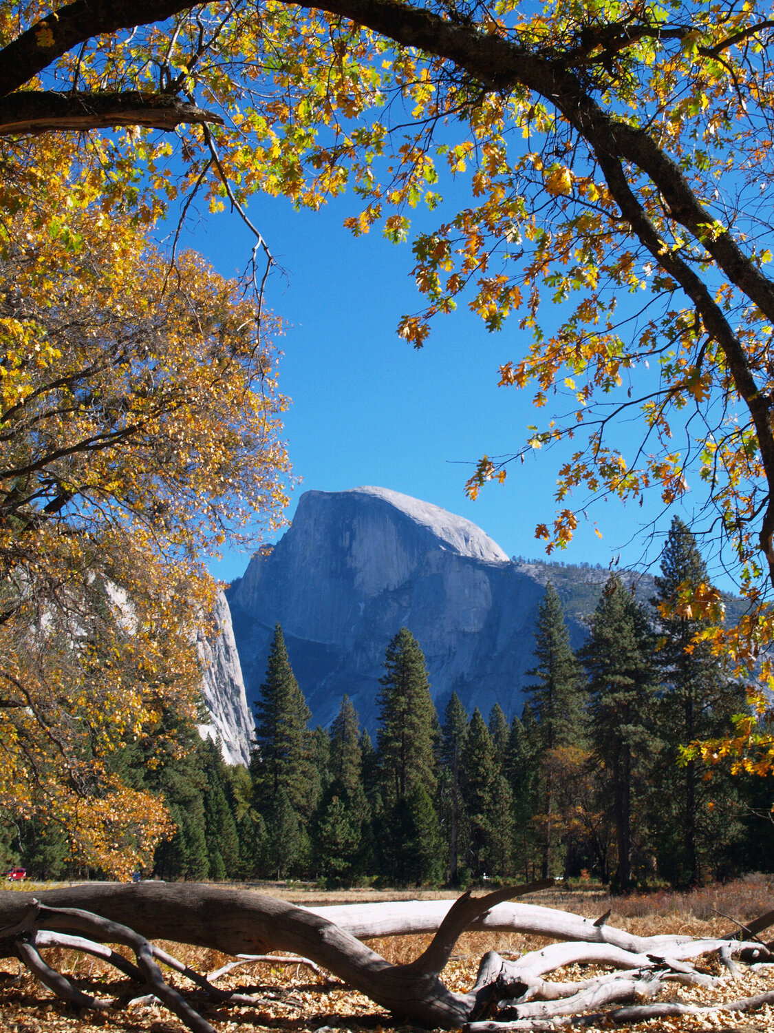 Half Dome in Yosemite Alex Cassels
