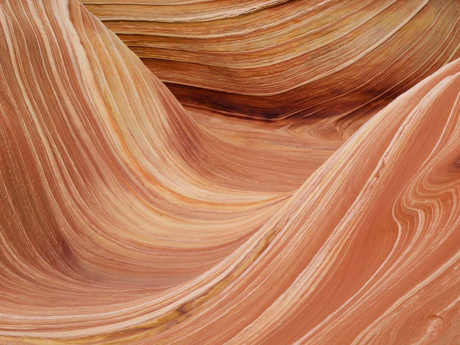 Wave Rock 2 Alex Cassels