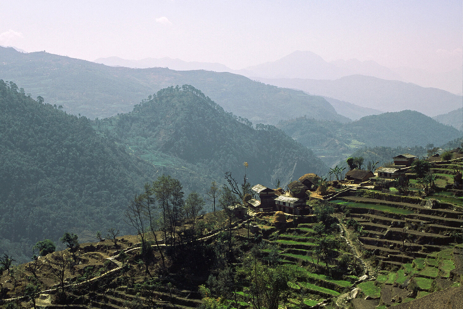 Himalayan Foothills of Nepal Alex Cassels Fotografie zu verkaufen