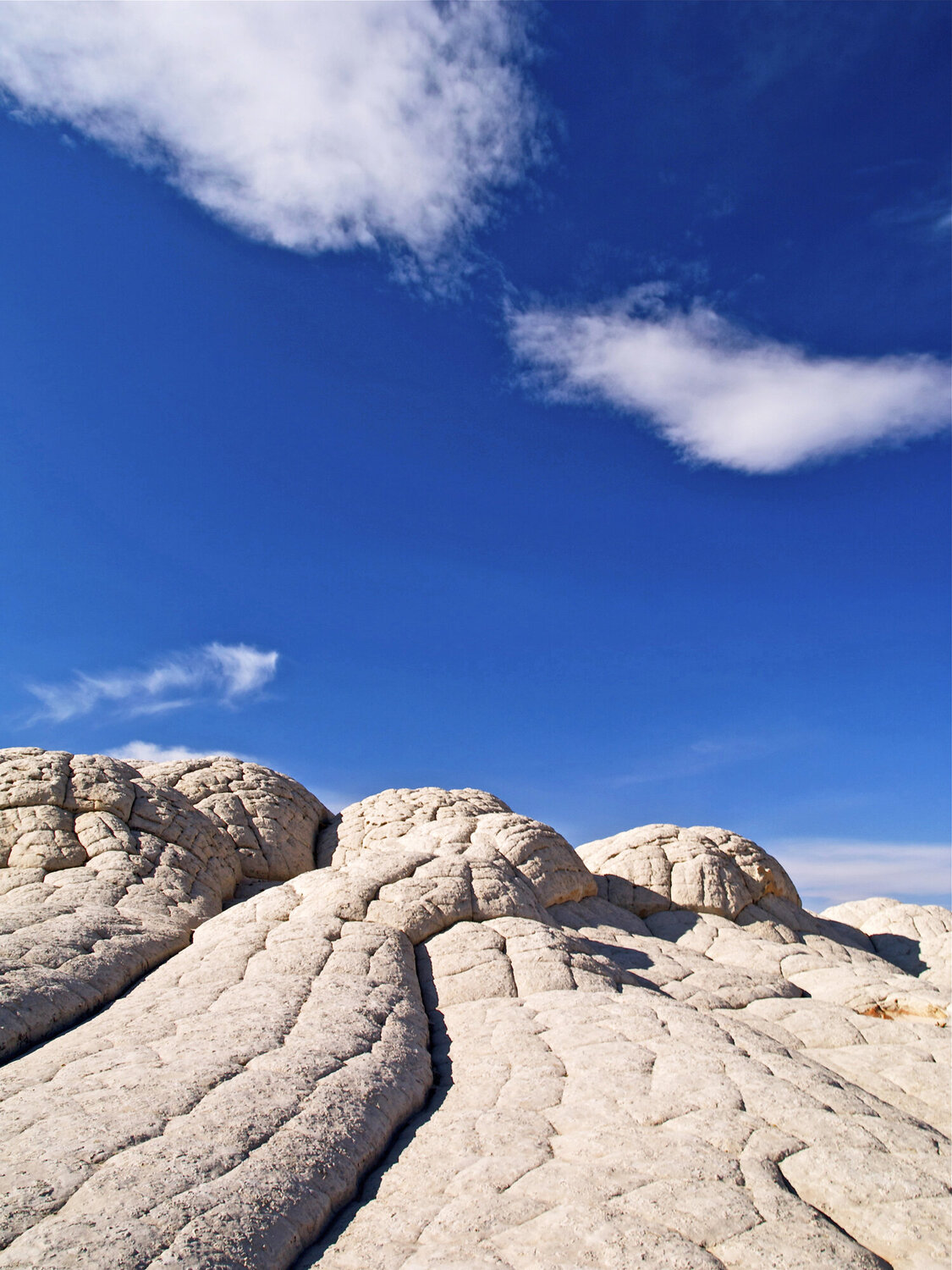 The Brain Rocks of White Pocket Alex Cassels Fotografie zu verkaufen