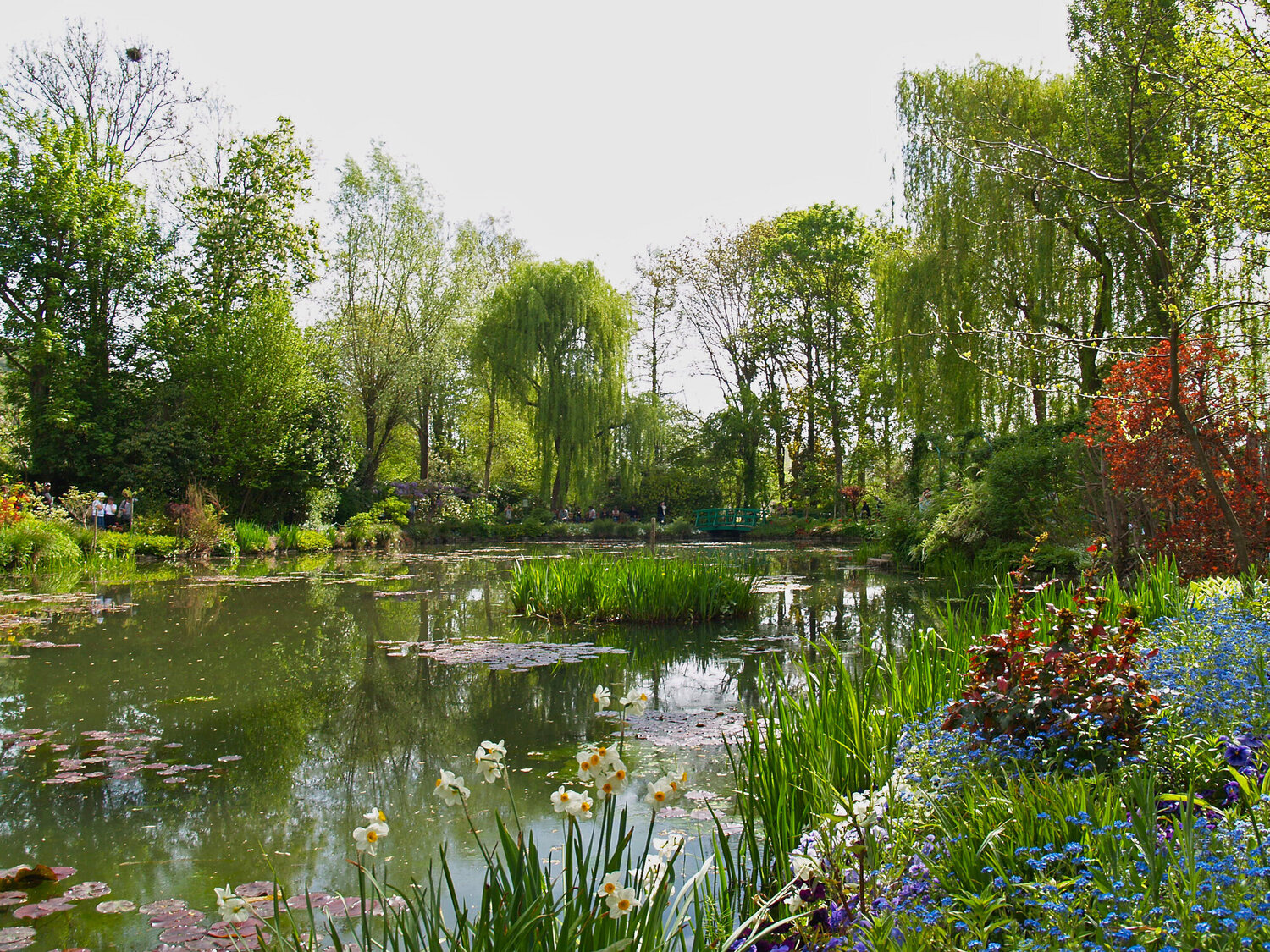 Le jardin d'eau au printemps Alex Cassels