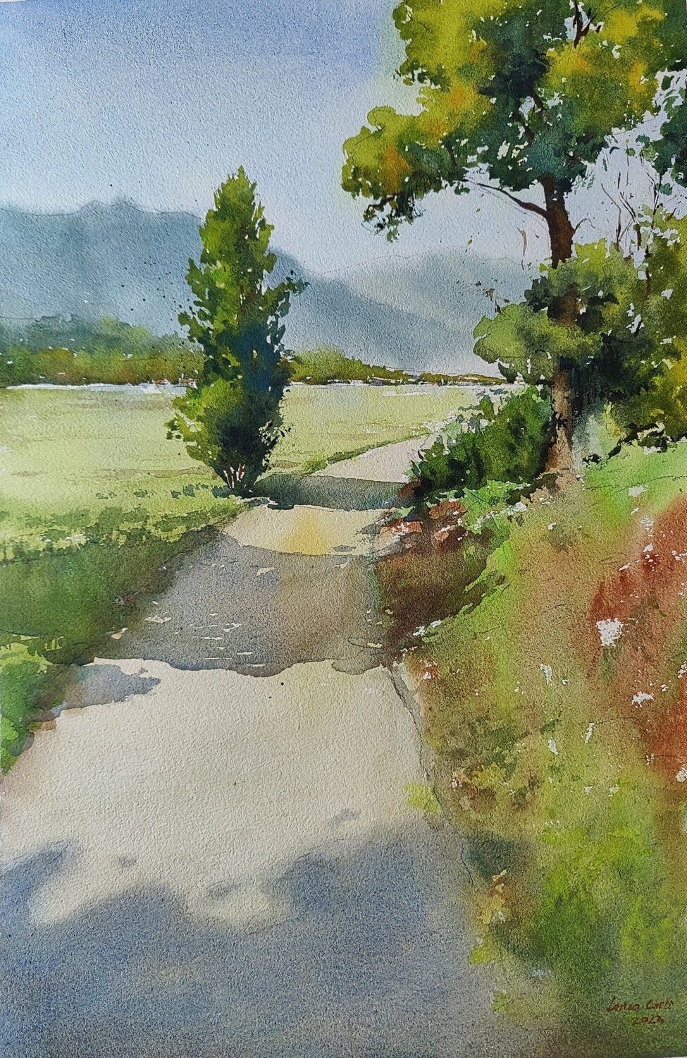 Pathway to peace, Bohinj valley, Slovenia Larisa Carli Werk auf Papier zu verkaufen
