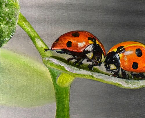 Ladybugs van Elena Dmitrenko, Schilderij te koop op Singulart