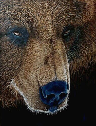 Brown bear di Elena Dmitrenko, Pittura in vendita su Singulart