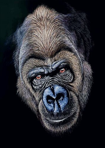 Gorilla by Elena Dmitrenko, Painting for Sale on Singulart