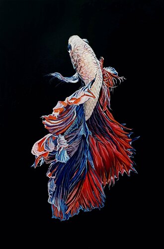 Betta Fish / FIghting fish di Elena Dmitrenko, Pittura in vendita su Singulart