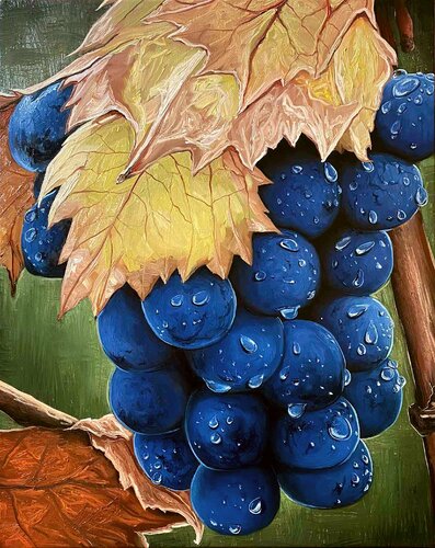 Grapes von Elena Dmitrenko, Malerei kaufen auf Singulart