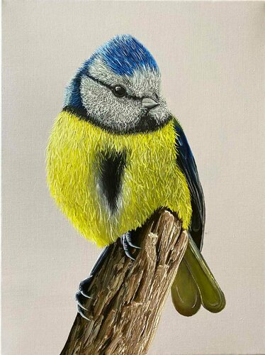 Titmouse par Elena Dmitrenko, Peinture en vente sur Singulart