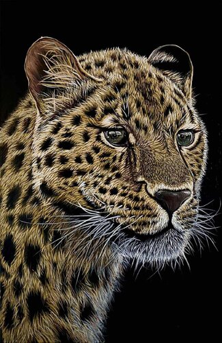 Leopard by Elena Dmitrenko, Painting for Sale on Singulart
